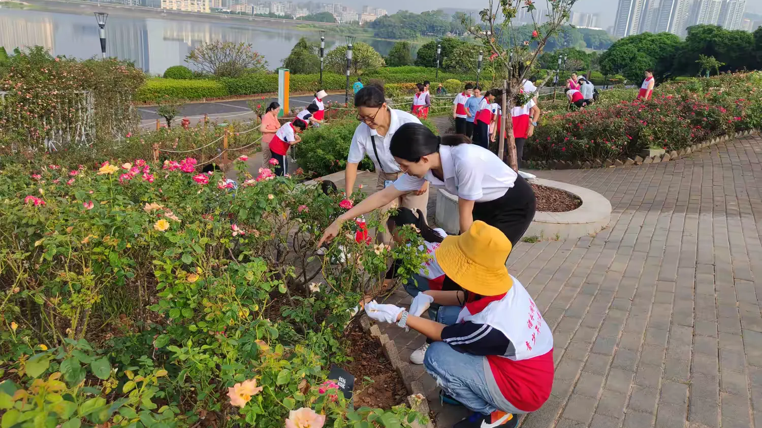 福永街道开展月季花自然教育科普活动